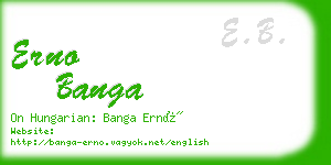 erno banga business card